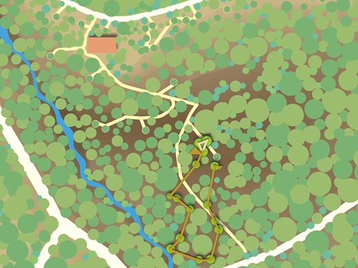 skypark Parcours Gold, Ausdauer, Schwierigkeitsgrad 5 (6 ist der höchste Schwierigkeitsgrad)